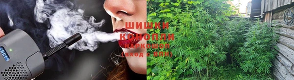 apvp Лагань