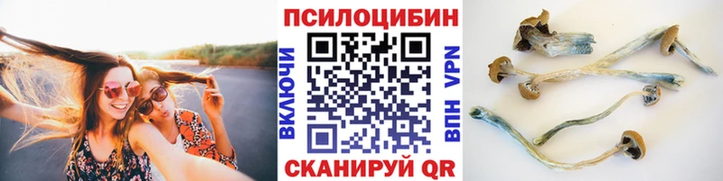 mega   Череповец  Псилоцибиновые грибы GOLDEN TEACHER 