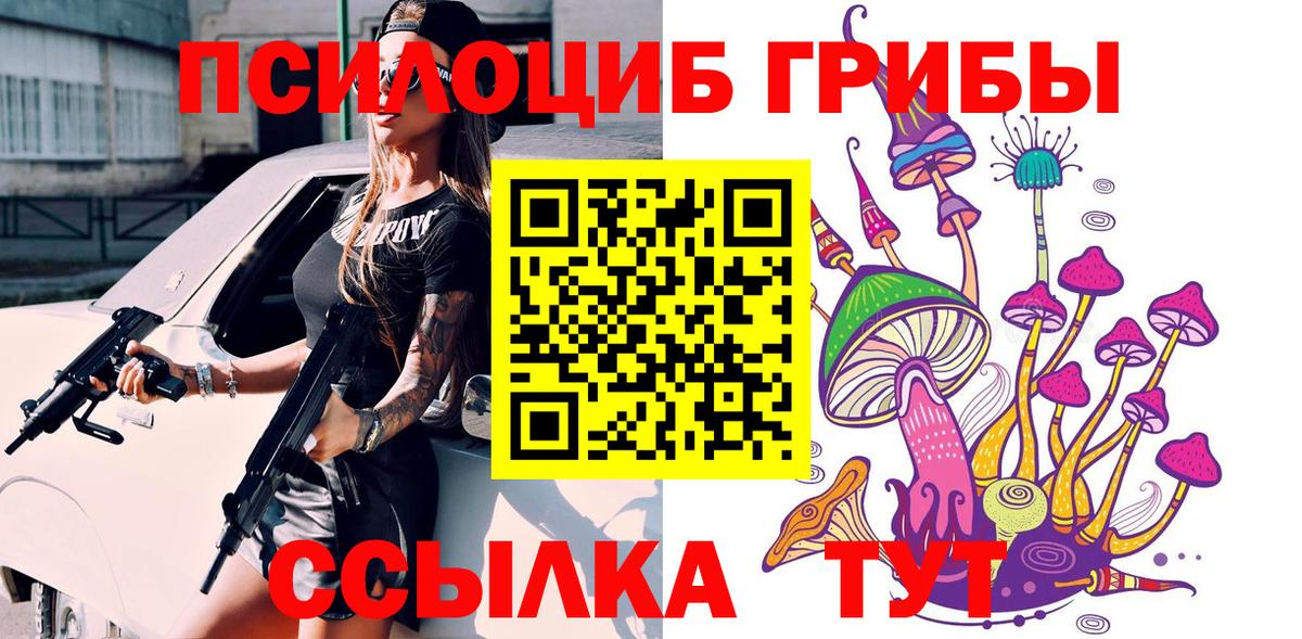 Череповец  Галлюциногенные грибы Magic Shrooms  купить наркотик  Вход с VPN 