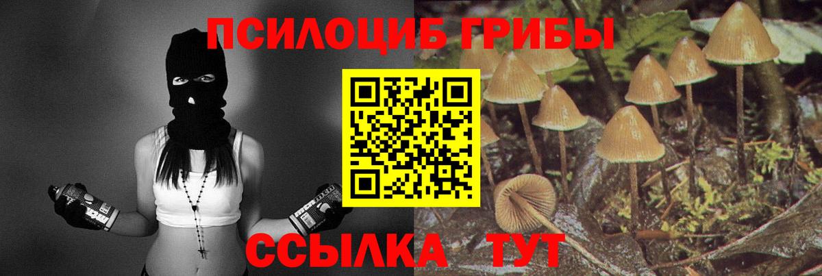 что такое наркотик  Псилоцибиновые грибы мицелий  Череповец  Галлюциногенные грибы Cubensis 