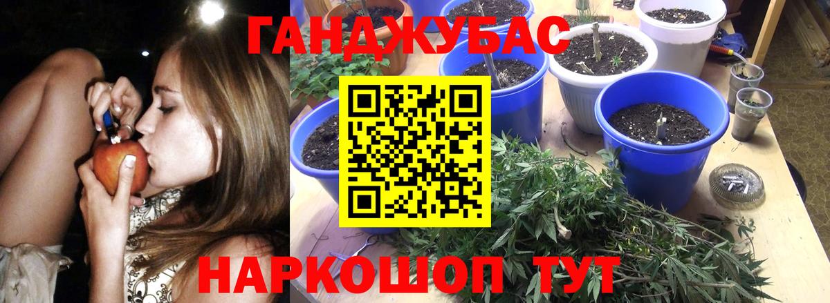 Бошки Шишки THC 21%  Марихуана THC 21%  Канабис сатива  Вход с VPN  Череповец 